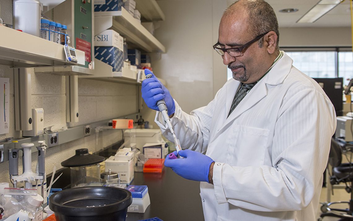 researcher using a pipette in a lab